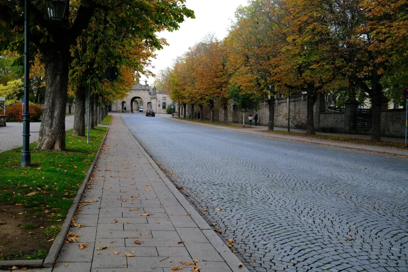 A cobblestone street lined with autumn trees leading to a stone archway