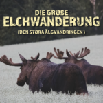 Die große Elchwanderung 2025 – Titelbild