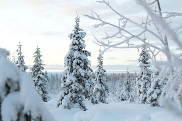 Lappland