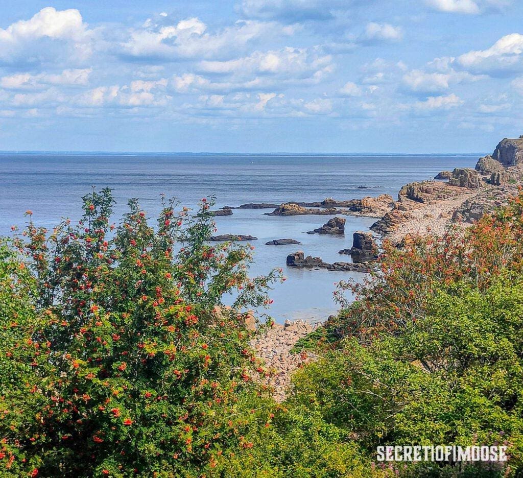 Hovs Hallar Naturreservat
