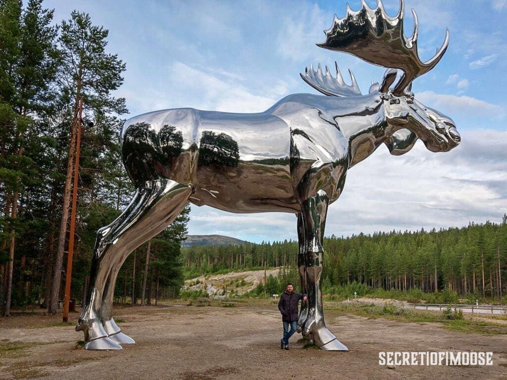 Die größte Elchstatue der Welt Storelgen,