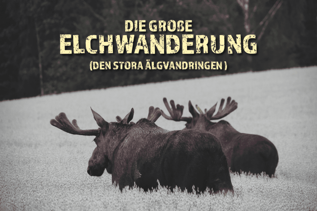 Die große Elchwanderung 2025 – Titelbild