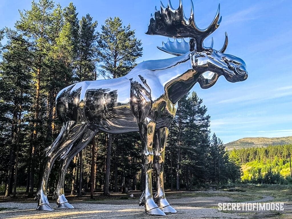 der silberne Elch. Am Rastplatz Bjøråa, rund 110 km nördlich von Elverum